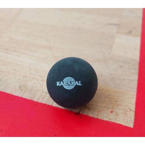 Karakal BIGbal Trainingsbal